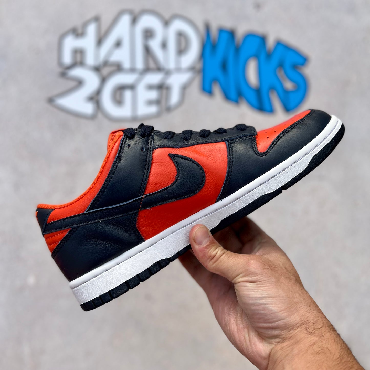 Nike Dunk Low SP - Champ Colours