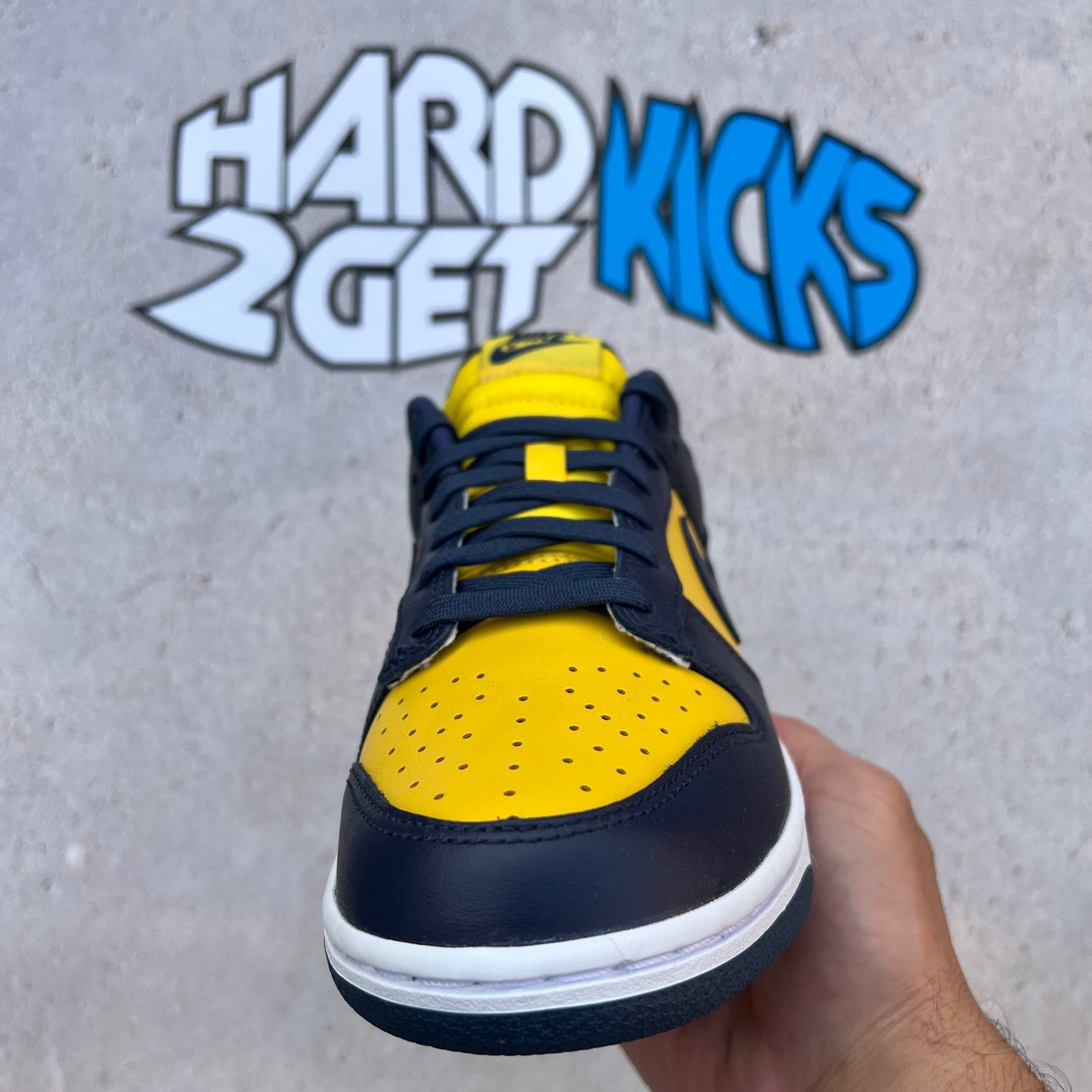 Nike Dunk Low Retro - Michigan