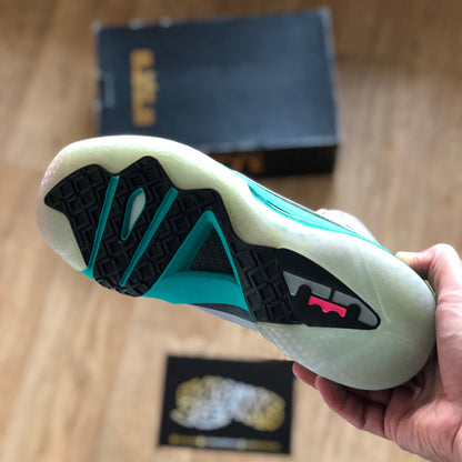 LeBron 9 P.S Elite - South Beach