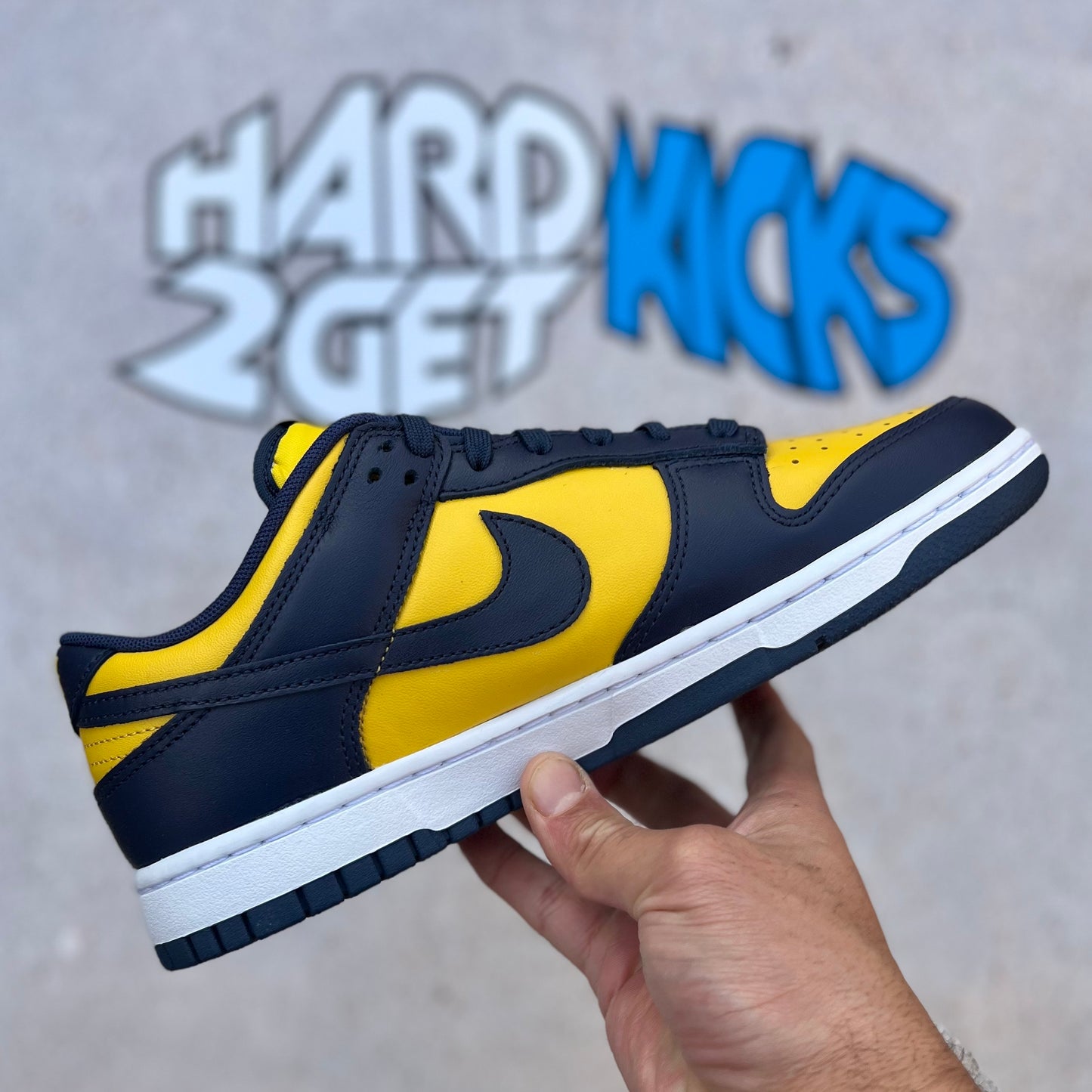 Nike Dunk Low Retro - Michigan